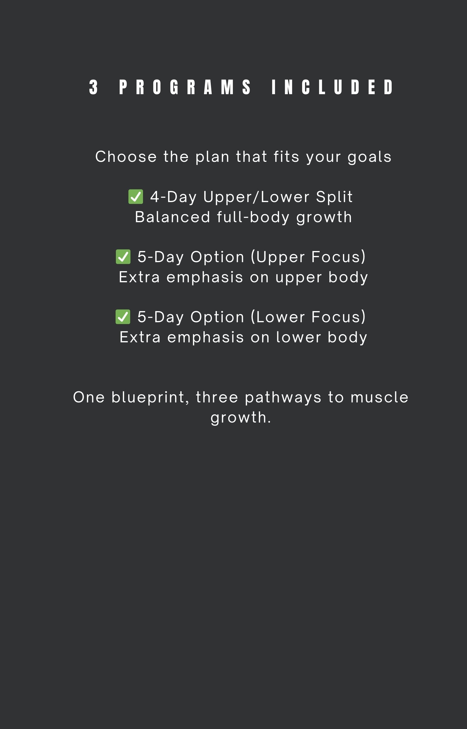 The Muscle Growth Blueprint